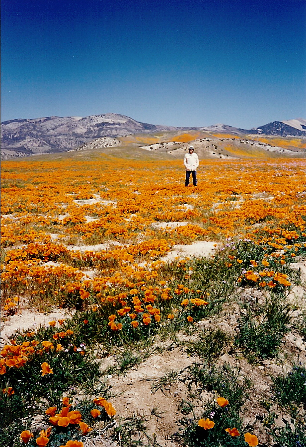 April 28, 1991