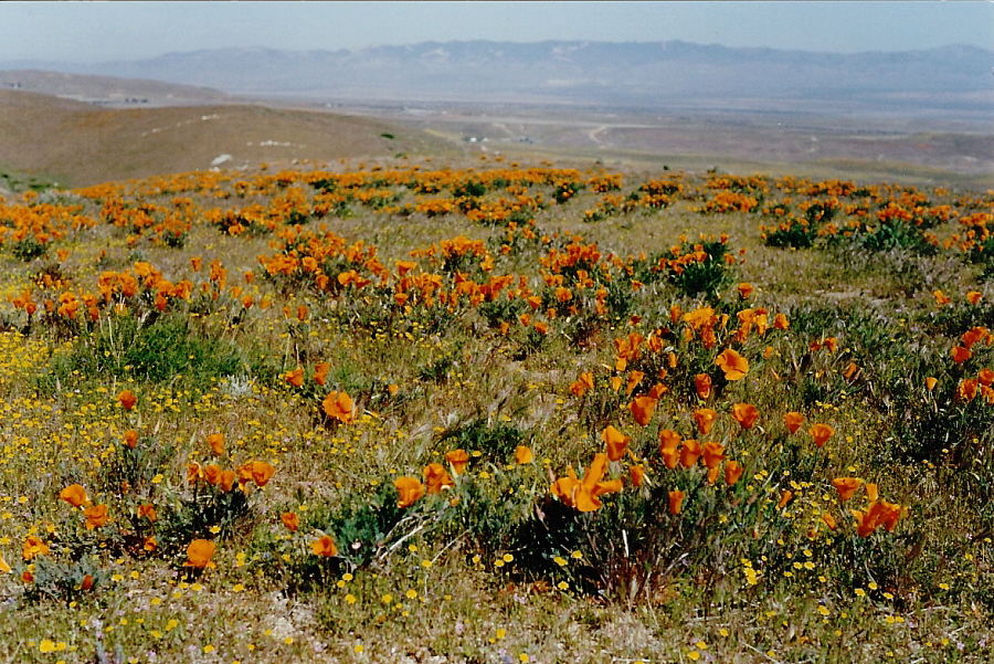 April 1993