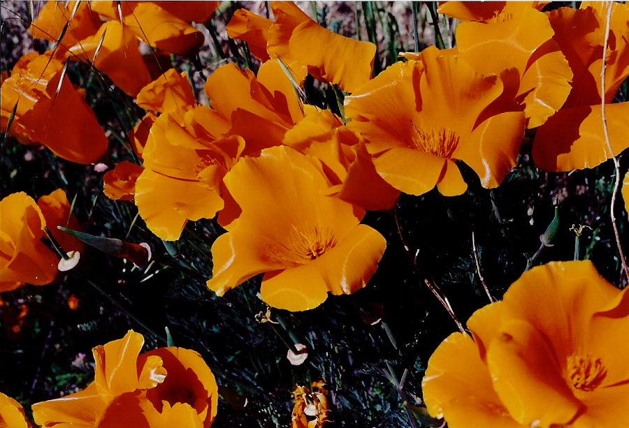 April 1993