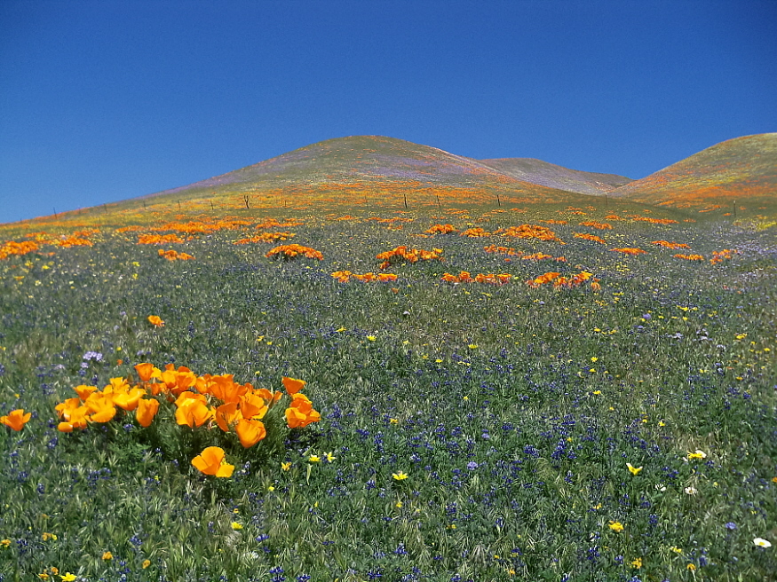April 19, 2010: Gorman Post Road