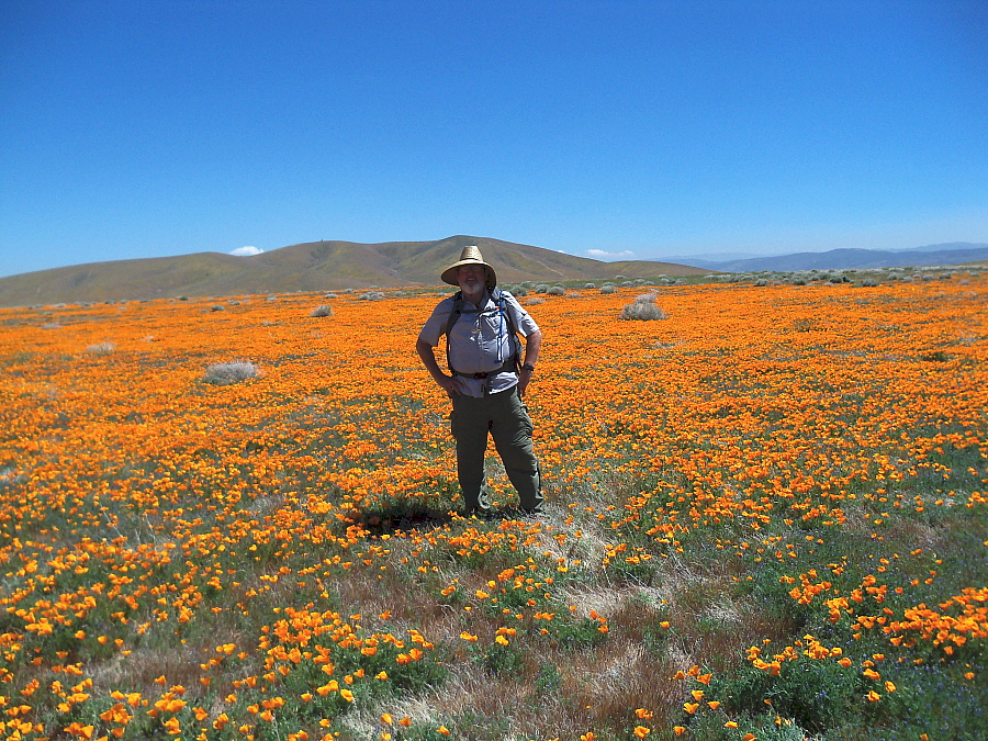 April 19, 2010: 170th Street Poppy Field