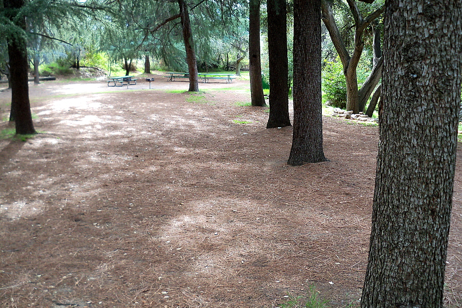 Fireman's Flat - Jan 11, 2010