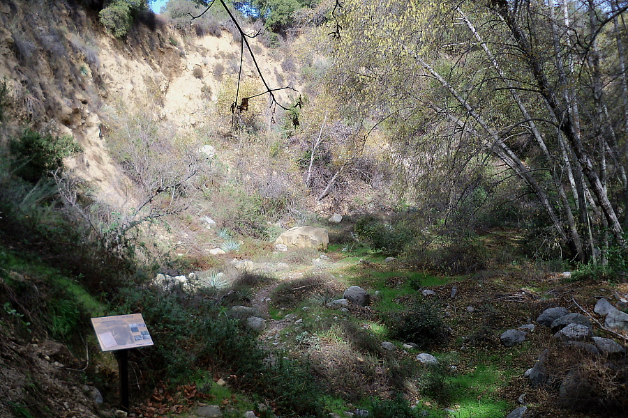 The Meadow - January 4, 2010