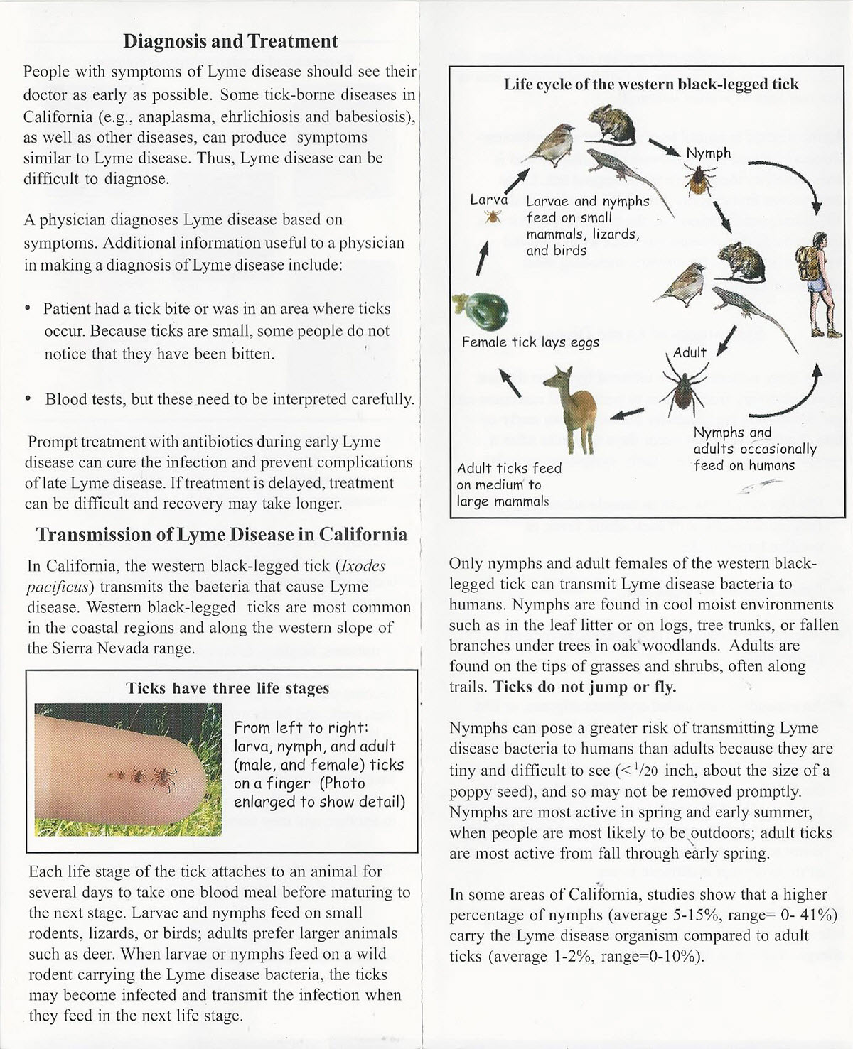 Lyme Disease Brochure