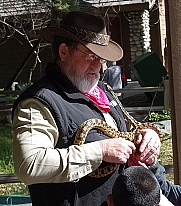 Gopher Snake, click for more details
