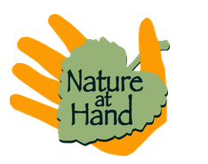 Nature at Hand - Plants of the San Gabriel Mountains, click for website